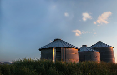 Fototapeta na wymiar Three Grain Storage Bins Glow In The Sunset Light in Northern Montana