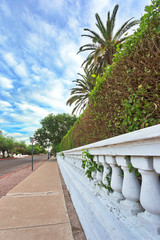 Vertical view of Southwestern hedge and wall in Tucson
