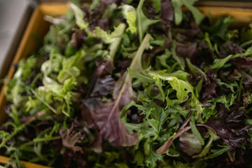 fresh green salad
