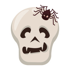 halloween spider insect with skull head