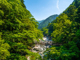 祖谷のかずら橋_05