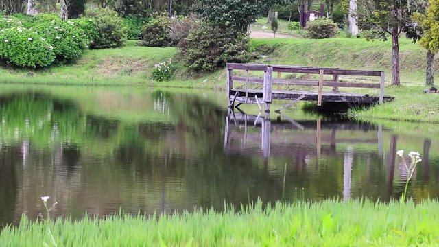 &Aacute;guas calmas do lago