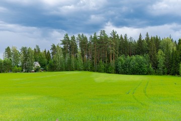 Fields, lakes of finland. Panoramic field landscape. Beautiful nature background.