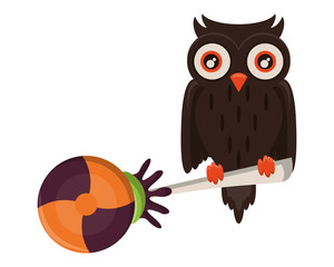 halloween sweet candy with owl bird
