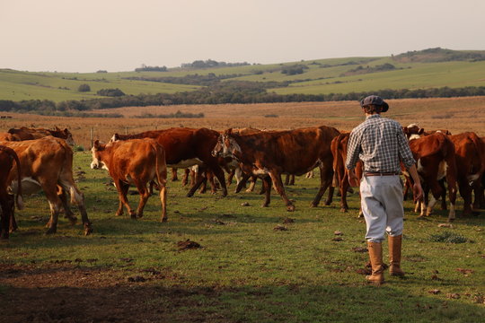 rodeio parado 