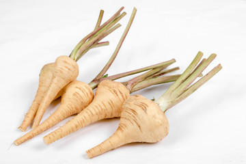 PARSNIP, FRESH with leaves only from the garden, on a white background .