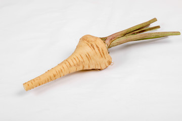 PARSNIP, FRESH with leaves only from the garden, on a white background .
