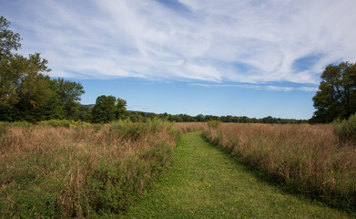 Fototapeta na wymiar Freshly cut pathway through dry grassy field on sunny day