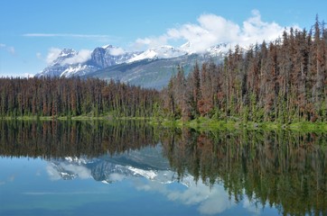 Scenic view of the Mountains of the Canadian Rockies