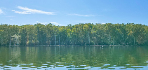 Manasquan Reservoir in New Jersey, USA. Dead Trees in the forest around a lake. reflections of old tree trunks in blue pond water.
