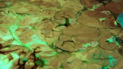 Very Nice Ink Abstract Psychedelic Paint Liquid Motion Background Texture Video.