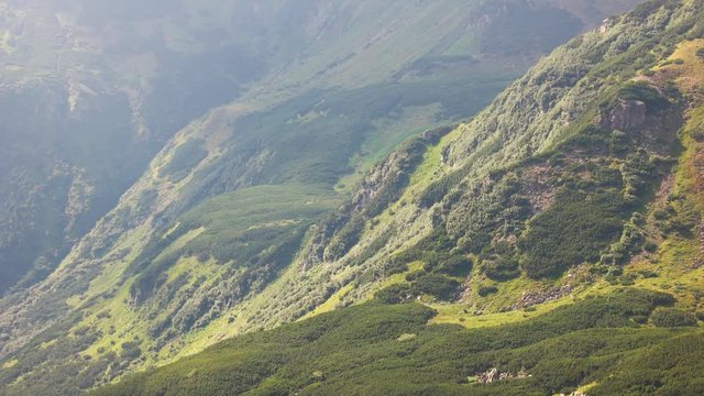 Mountain landscape with grassy hills and slopes. Valley between green hills of Carpathian mountain in summer.