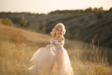 Portrait of a beautiful little princess girl in a pink dress. Posing in a field at sunset © Kate