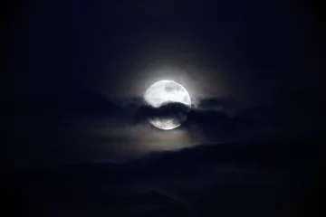 Papier peint photo autocollant rond Pleine Lune arbre Lune