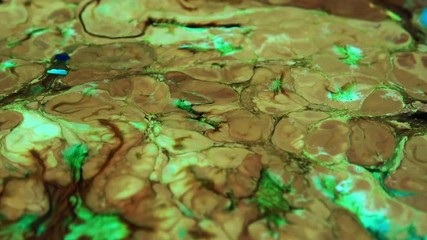 Very Nice Ink Abstract Psychedelic Paint Liquid Motion Background Texture Video.