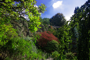 Queen Elizabeth Park, vancouver