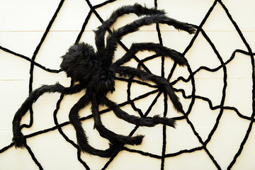 Giant spider on a web on a white wooden background. Halloween decorations concept. Flat lay, top view, copy space.