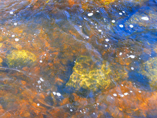 autumn leaves reflecting in the water