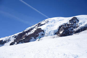 Mt Rainier 