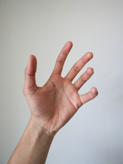 a hand holding something on white background.