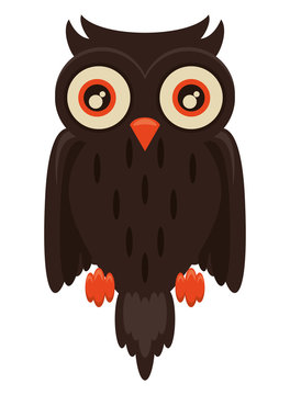 halloween owl bird animal icon