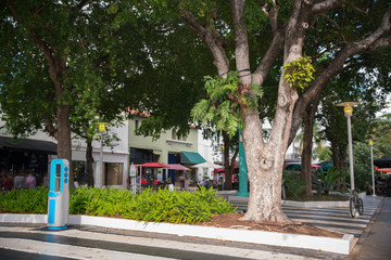 Lincoln Road South Beach FL USA