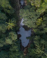 Beautiful swimming hole in the middle of a rainforest oasis looking view form above