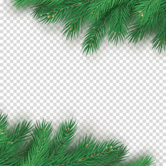Festive background with realistic branches of spruce. Merry Christmas greeting card template with space for season wishes. Green pine tree branches on transparent background vector illustration.