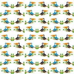 The Amazing of Bird Cute Cartoon Funny Character, Pattern Wallpaper in the White Background