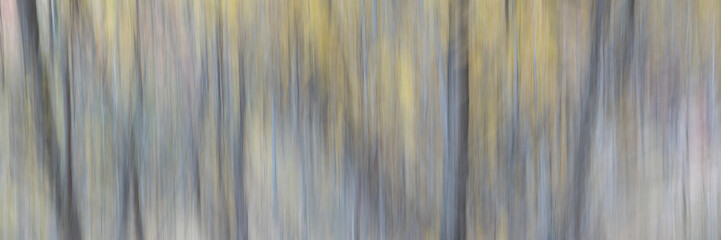 nature motion blur abstract