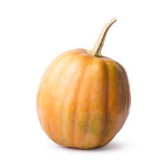Pumpkin isolated on a white background