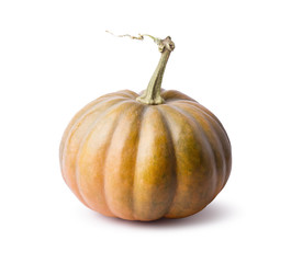 pumpkin isolated on a white background
