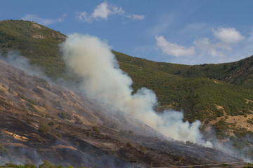 Aerial firefighting