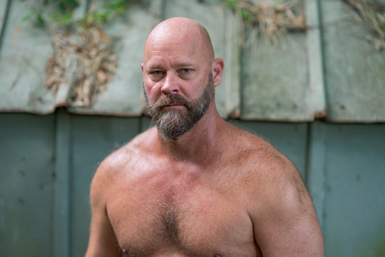 Closeup shot of a bald bearded man with no shirt