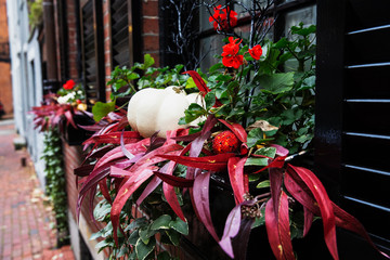 flower pot with pumpkin on the window