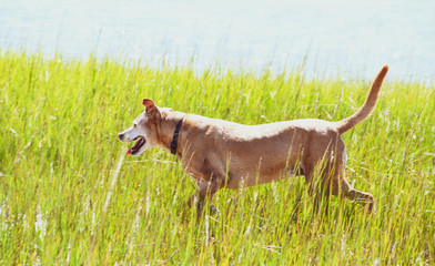 Playing at the Beach