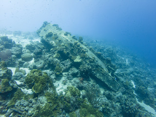 Bonaire Shipwreck