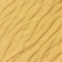 Fototapeta na wymiar closeup of sand pattern of a beach