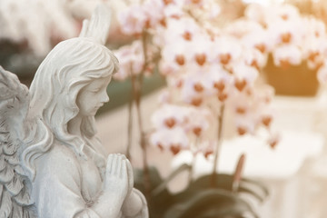 Statue of Angel is blessing.In the flower garden pink.
