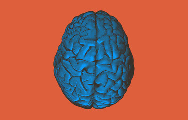 Engraving drawing human brain on orange BG