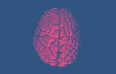 Engraving drawing human brain on blue BG