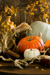 Autumn photo. Pumpkins, corn, vegetables, harvest, autumn leaves on a wooden rustic background
