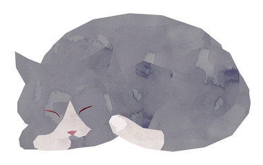 サバトラ靴下・寝る