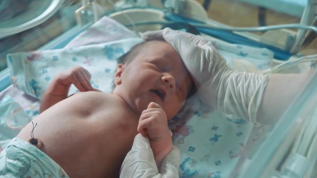 Newborn baby in an incubator