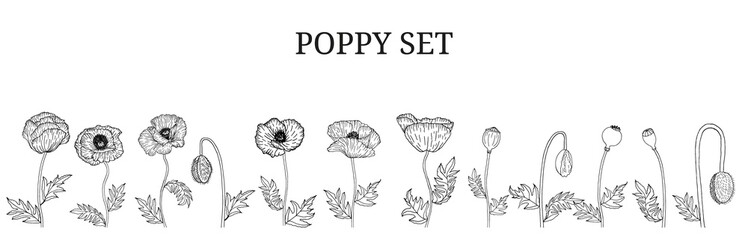 Decorative vector black poppy flowers and leaves in hand draw sketch style, design element. Floral decoration for invitations, greeting cards, banners. 