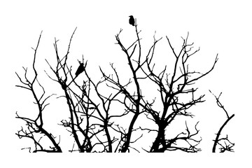 black silhouette for halloween, crows sitting on a tree in winter or autumn forest, dry trees, doodle sryle, vector illustration