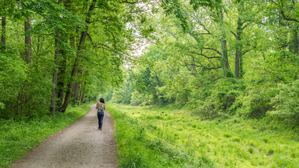 Woman walking on path through forest