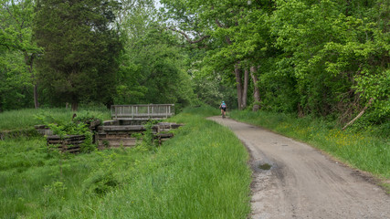 Fototapeta premium Man riding bicycle on path