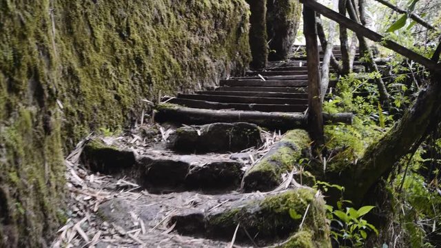 inca trail to Machu Picchu