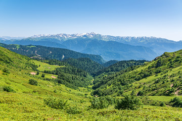 The view from the height to the green mountain valley surrounded by high mountains. Snow-capped mountain peaks on the horizon. Krasnaya Polyana, Sochi, Caucasus, Russia.